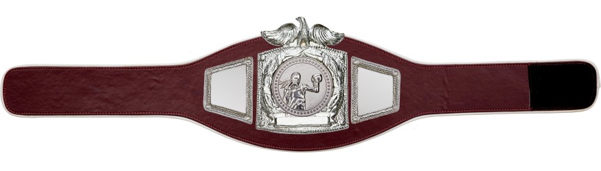 PROEAGLE FEMALE BOXING CHAMPIONSHIP BELT - PROEAGLE/S/FEMBOXS - AVAILABLE IN 6+ COLOURS PROEAGLE FEMALE BOXING CHAMPIONSHIP BELT - PROEAGLE/S/FEMBOXS - AVAILABLE IN 6+ COLOURS